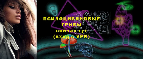 метадон Алексин