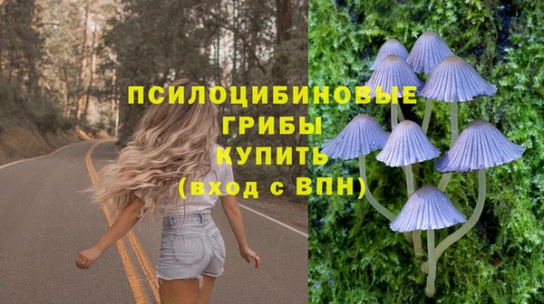 метадон Алексин